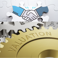 partnership, valuation